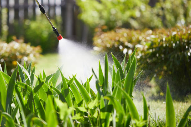 Tamper-Resistant Bait Stations for Rodents in Apopka