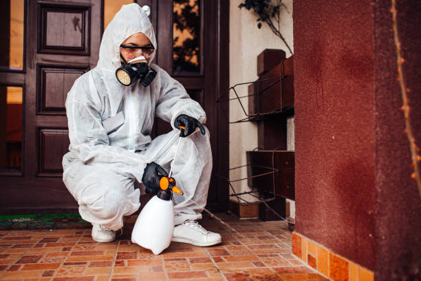 Attic and Crawl Space Rodent Treatment in Apopka